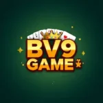 BV9 Game